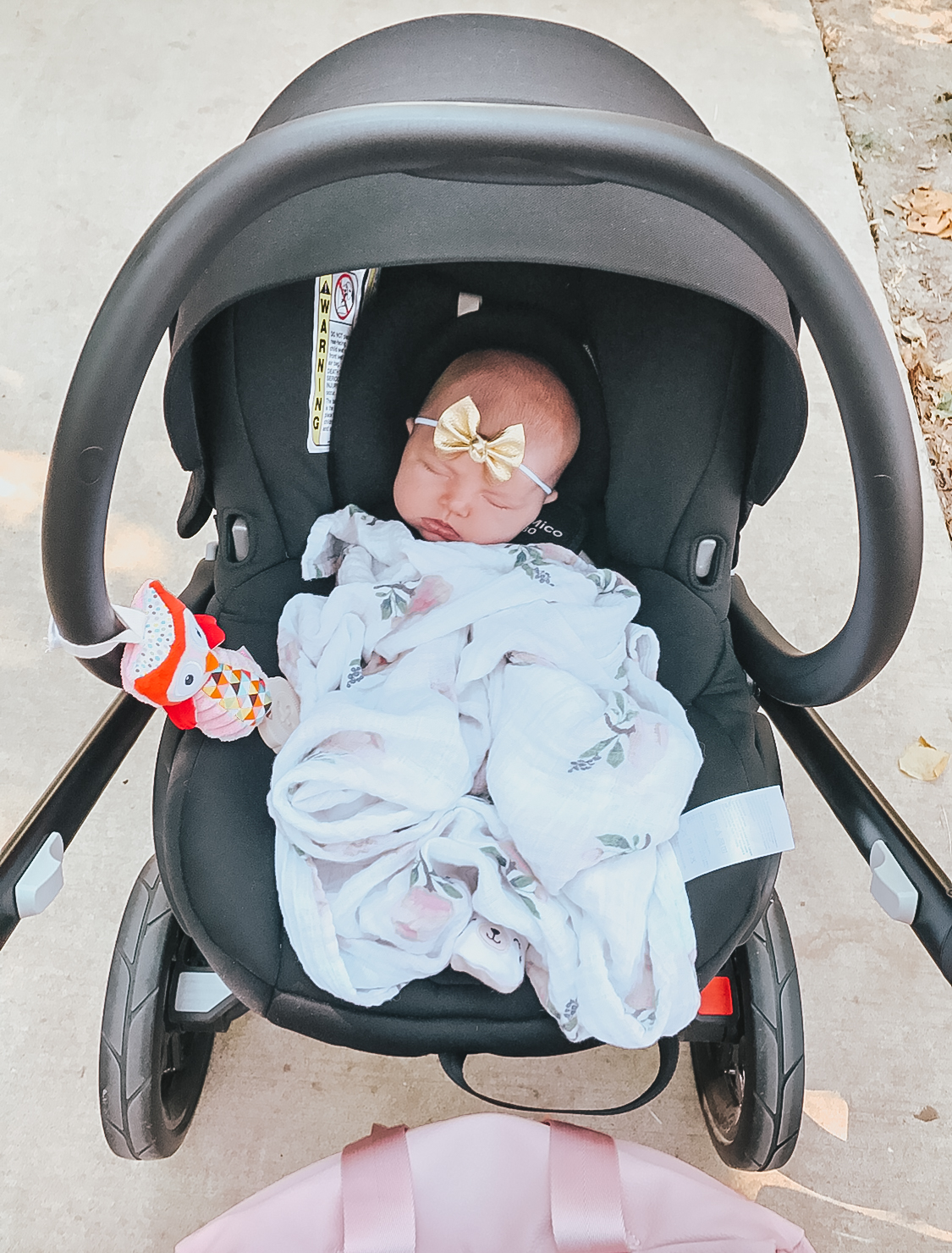 prime day uppababy