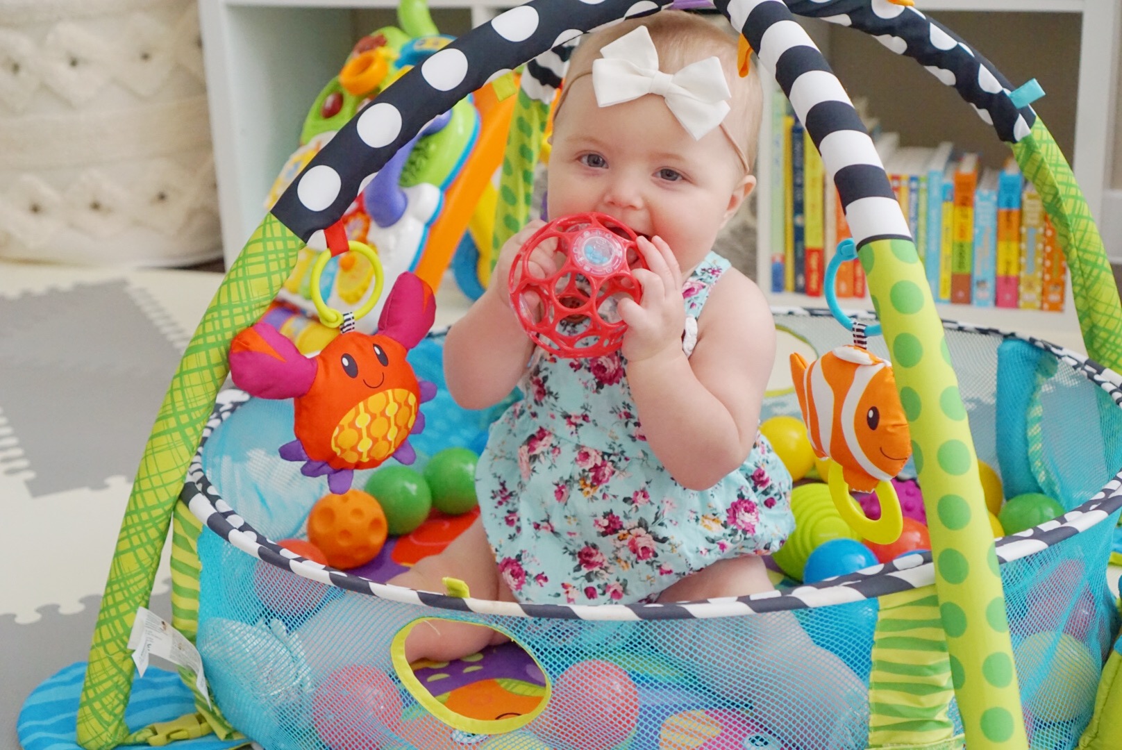 buy buy baby infant toys