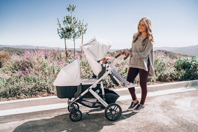2019 uppababy vista double stroller